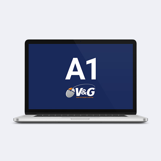 A1 e-CNPJ A1 | Arquivo (1 ano)